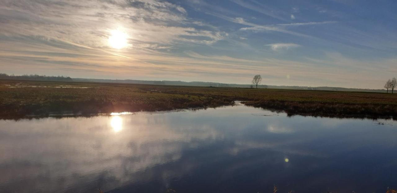 Guesthouse Het Gouden Eiland フェーンダム エクステリア 写真