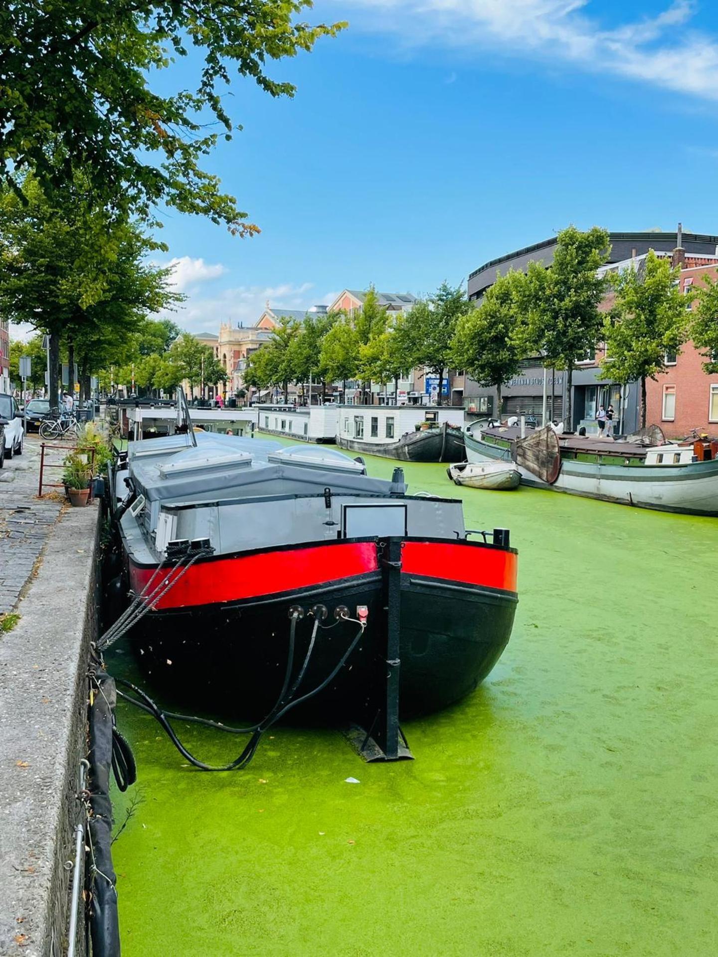 Guesthouse Het Gouden Eiland フェーンダム エクステリア 写真